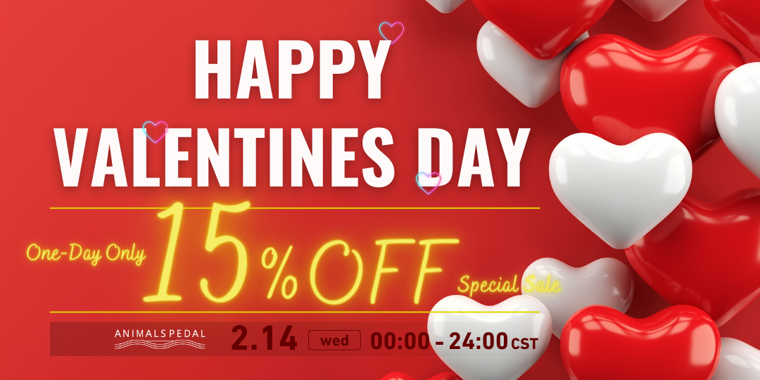 VALENTINE SALE 15%OFF