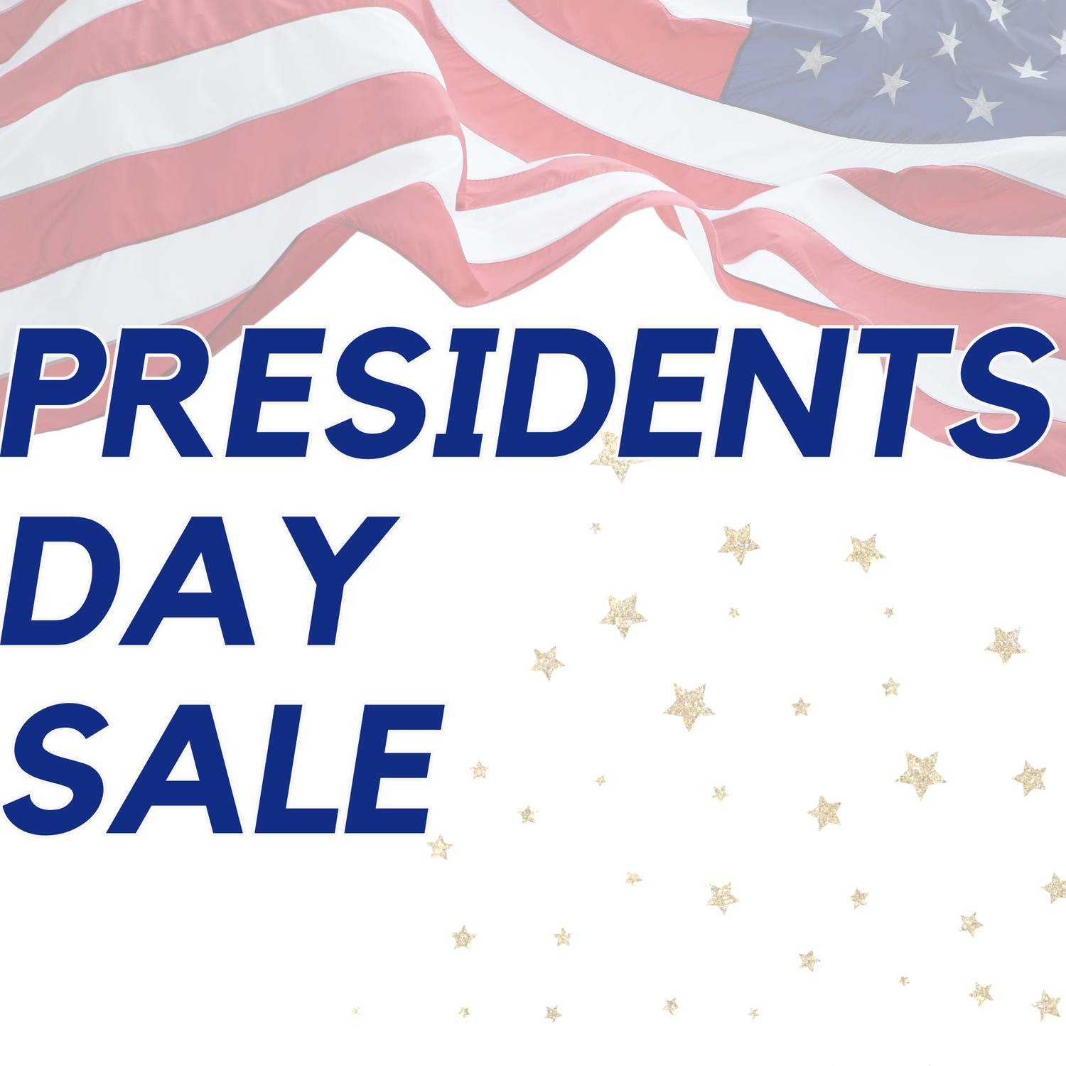 PRESIDENTS DAY SALE 10%OFF