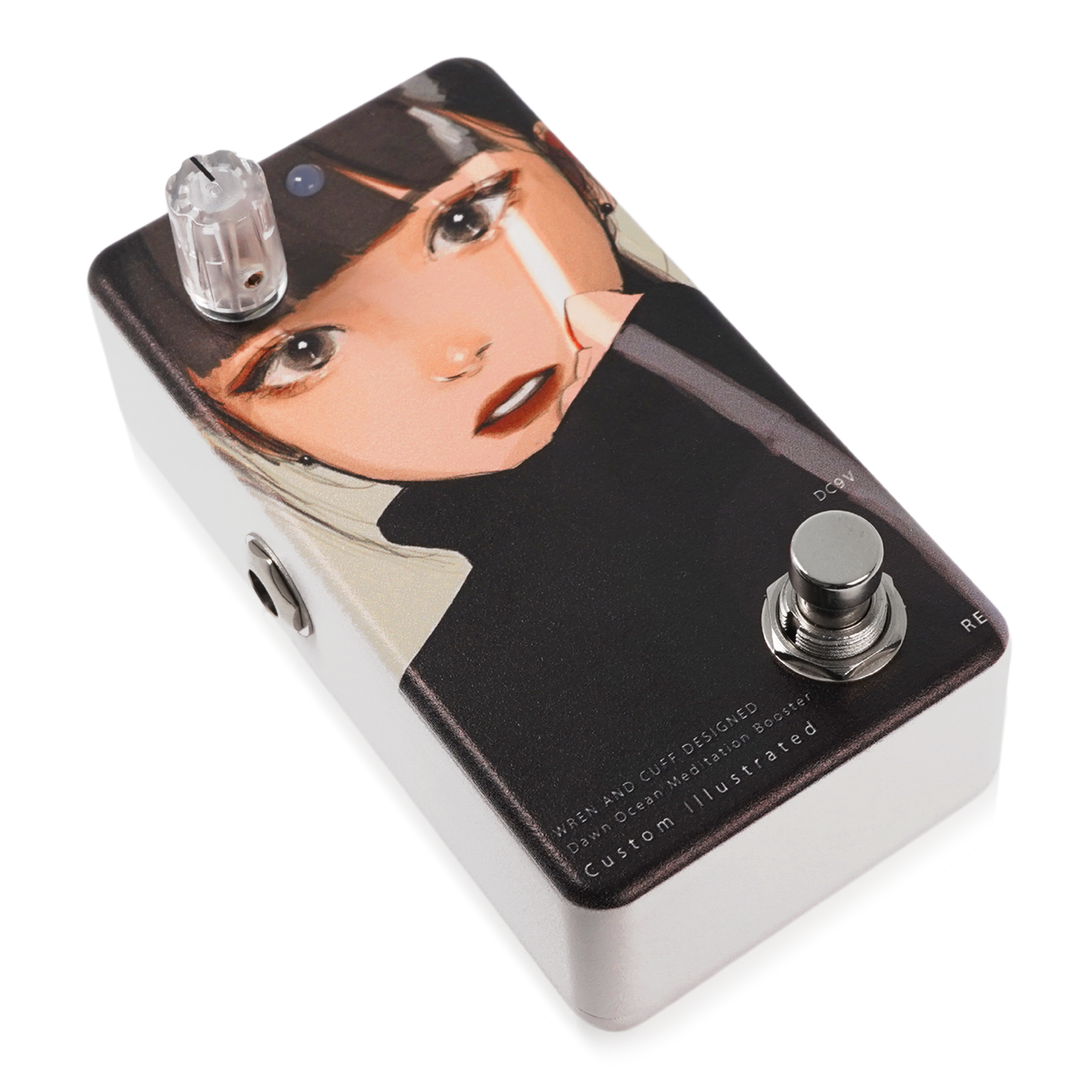 ANIMALS PEDAL Custom Illustrated 035夏の仕草 楽器・機材