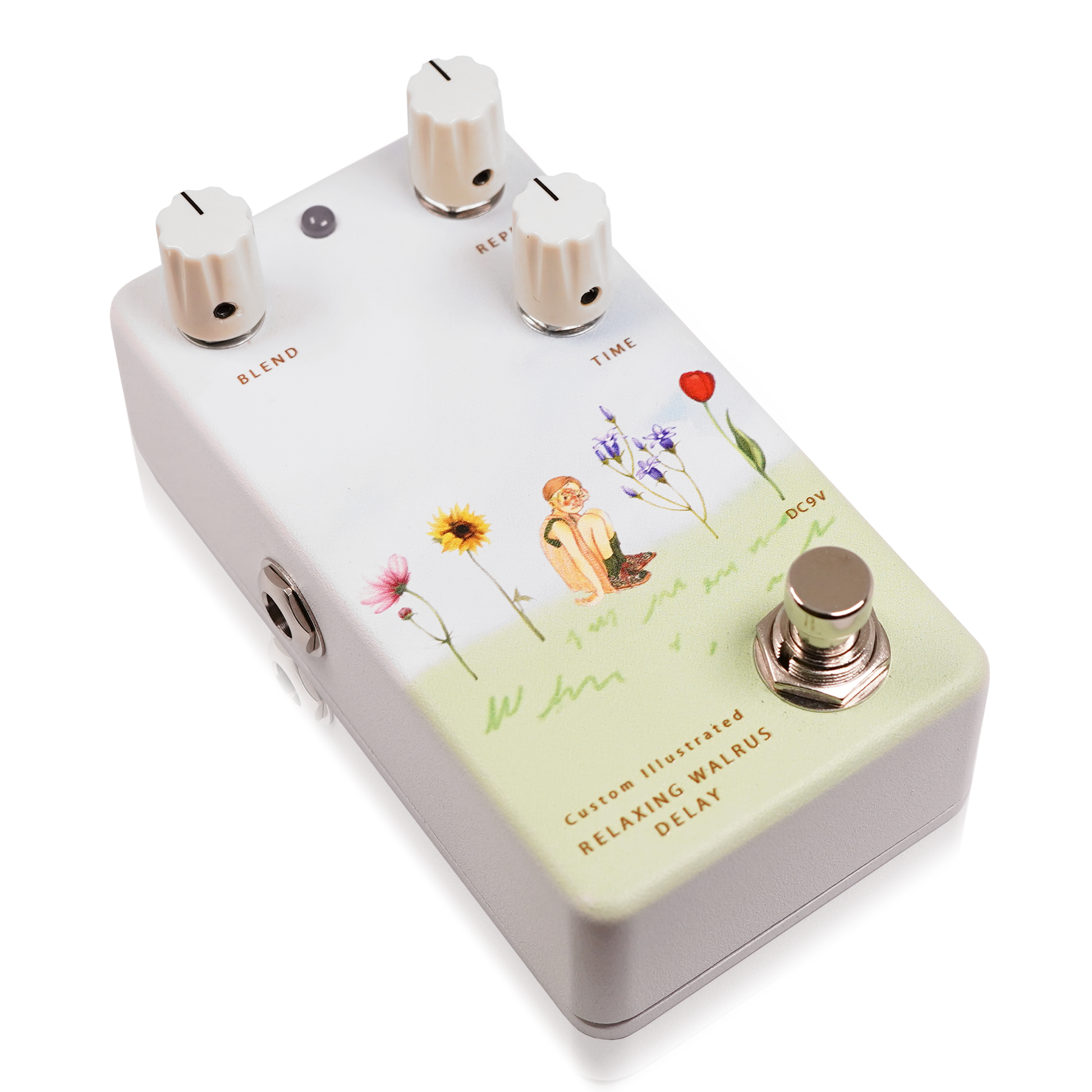 【中古】Animals Pedal Custom Illustrated 003 Custom Illustrated / RWD yung kai #03 wildflower – Animals